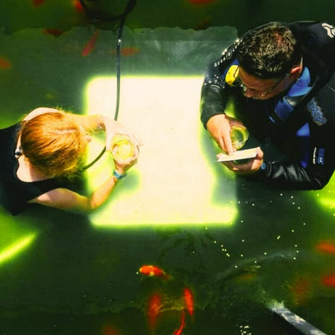 Beraria subacvatica - hai la o bere la adancime!