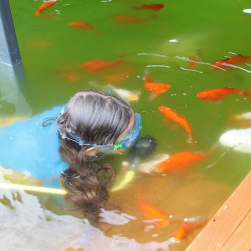 Beraria subacvatica - hai la o bere la adancime!