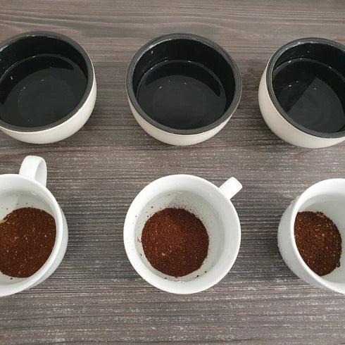 Degustare cafea si vizita la prajitorie