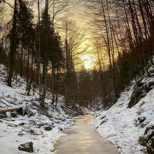 Off-road self driving in Bran