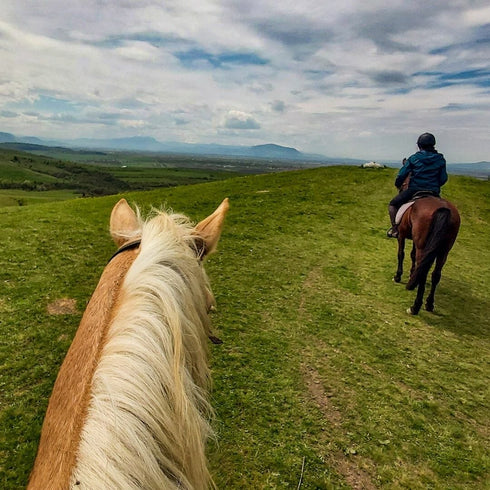 Plimbare cu calul Bod-Harman