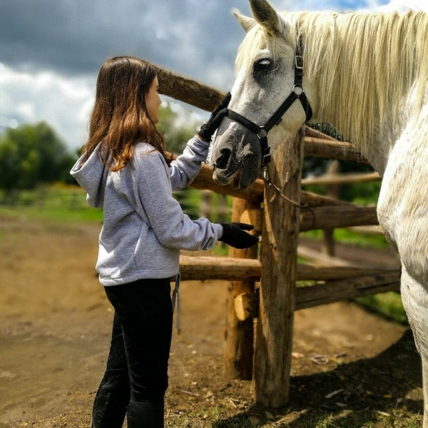 Plimbare cu calul Bod-Harman