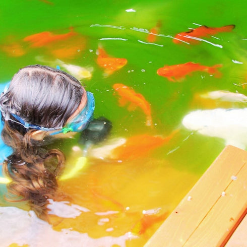 Underwater sound wave therapy