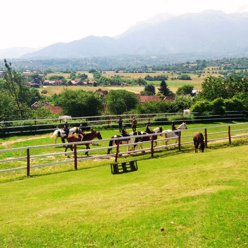 Plimbari calare in zona Bran