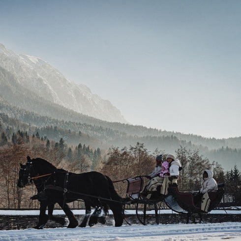 Plimbare cu trasura - Popasul Craiului