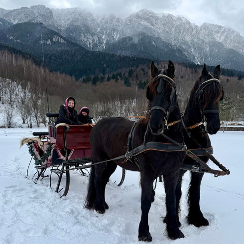 Plimbare cu trasura - Popasul Craiului
