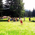 Treasure Hunt in natura pentru un Team Building de succes